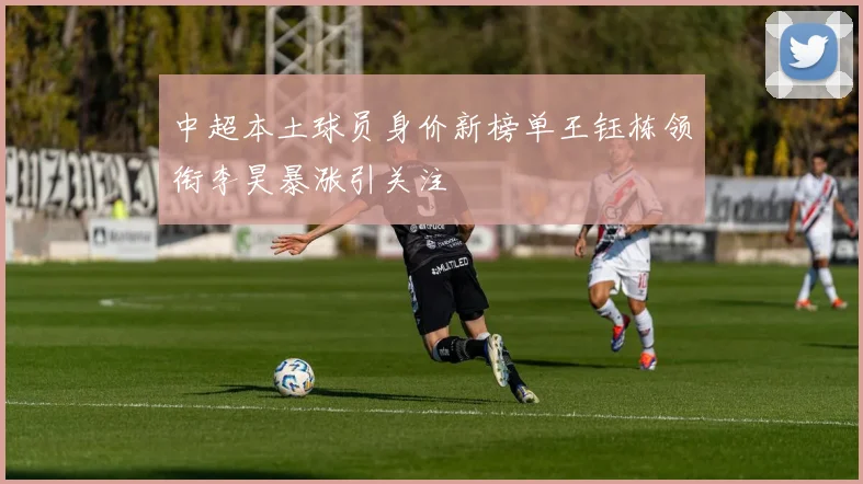 中超本土球员身价新榜单王钰栋领衔李昊暴涨引关注